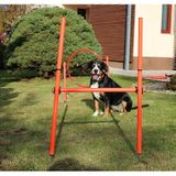 Dog Trainer agility prekážky pre psov balenie 1 sada